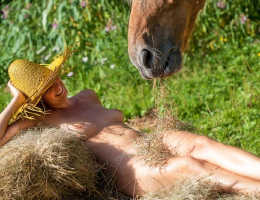 Bild 689468 von Pferdefan22 in Kategorie An– und Ausgezogen