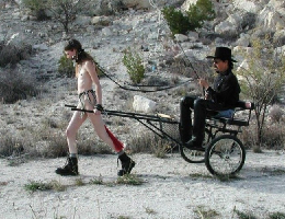 Bild 29983 von Schambereich in Kategorie BDSM