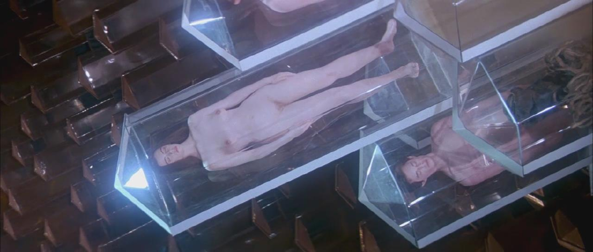 Bild 70106 von Schambereich in Kategorie Film