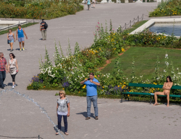 Bild 76587 von Schambereich in Kategorie Public Nude