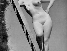 Bild 68864 von Schambereich in Kategorie Public Nude
