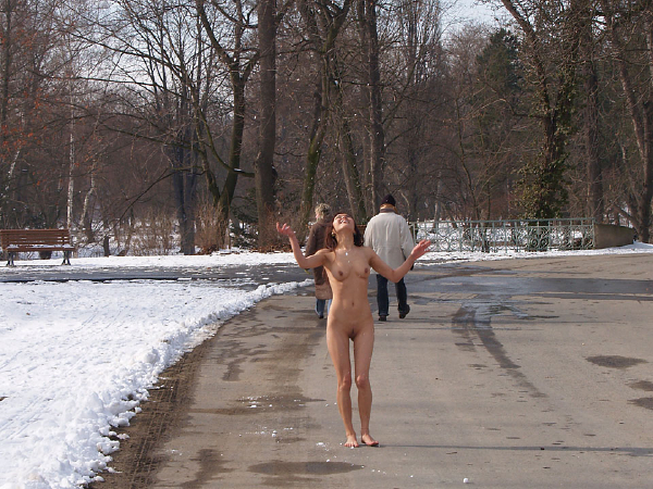 Picture by Schambereich