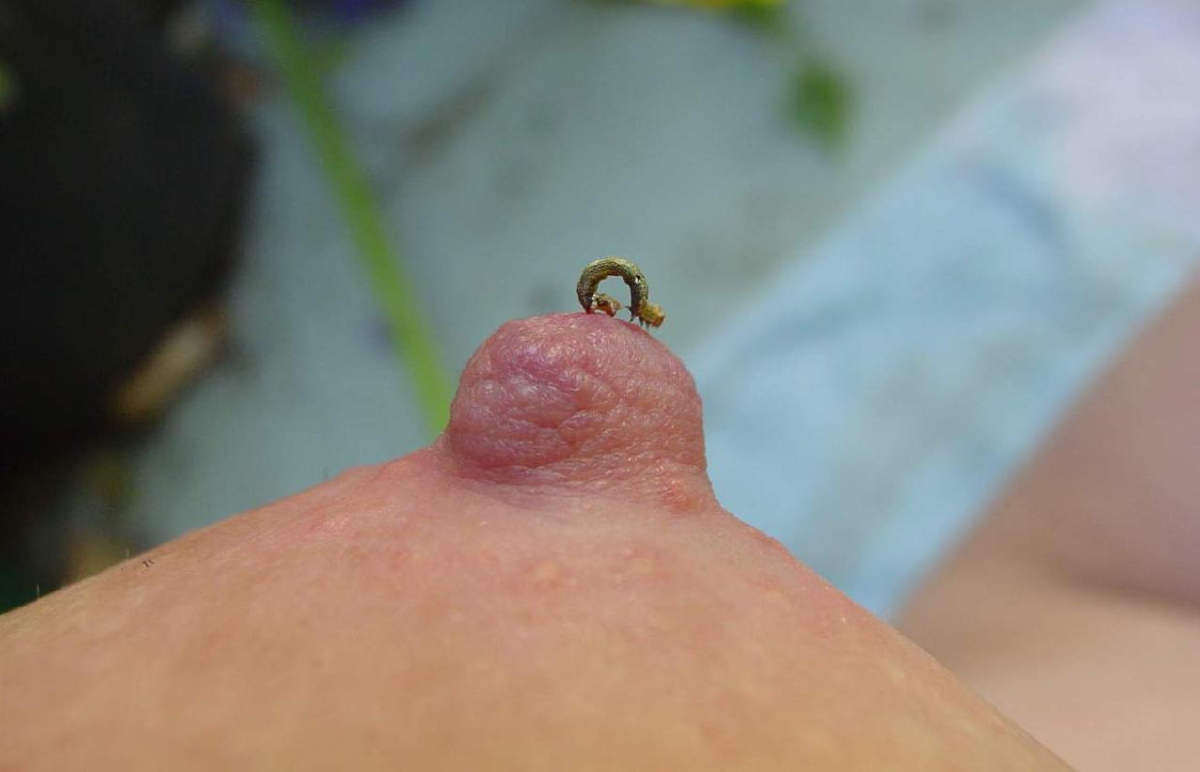 Bild 34931 von SimonTabs in Kategorie Kunst