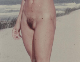 Bild 41354 von Schambereich in Kategorie Public Nude