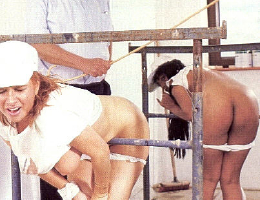 Bild 64776 von minski in Kategorie BDSM