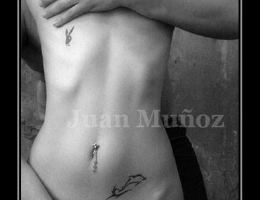 Bild 33217 von Schambereich in Kategorie Kunst