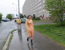 Bild 75293 von Schambereich in Kategorie Public Nude