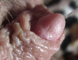 Bild 689157 von Andrea in Kategorie CMNF