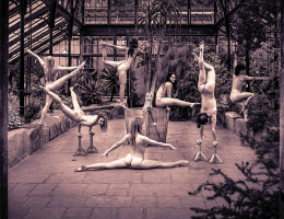 Bild 74247 von Schambereich in Kategorie Public Nude