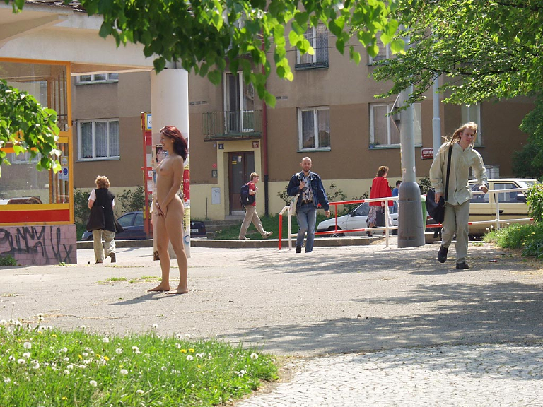Bild 19480 von Schambereich in Kategorie Exhibitionism