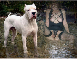 Bild 689656 von AGNEZOO in Kategorie Exhibitionismus