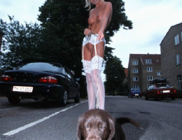 Bild 41622 von Schambereich in Kategorie Public Nude