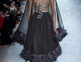 Bild 85826 von vivaldi in Kategorie Porträt