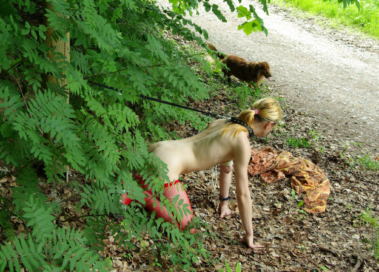 Bild 61164 von Schambereich in Kategorie Public nude