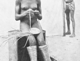 Bild 83795 von Schambereich in Kategorie Public Nude