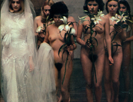 Bild 53105 von minski in Kategorie Film