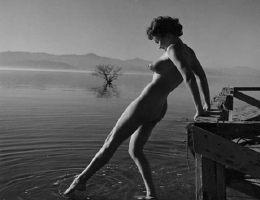 Bild 59032 von  in Kategorie Kunst