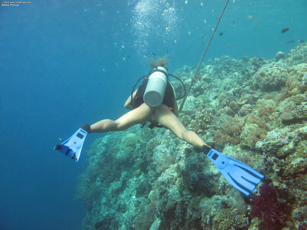 Bild 84512 von Erektor in Kategorie Public Nude