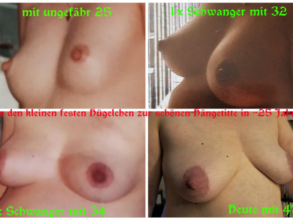 Bild von Sachse