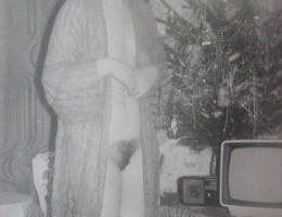 Bild 87418 von vivaldi in Kategorie Porträt