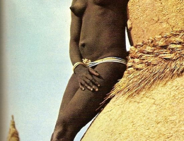 Bild 83765 von Schambereich in Kategorie Public Nude