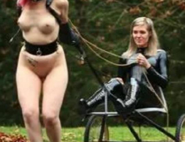 Bild 690579 von peter2222 in Kategorie Schamsituation