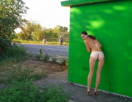 Bild 78385 von Schambereich in Kategorie Public Nude