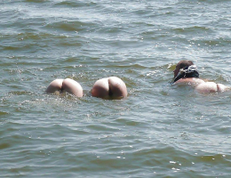Bild 105838 von Stumpel in Kategorie Public Nude
