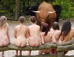 Bild 73848 von Schambereich in Kategorie Public Nude