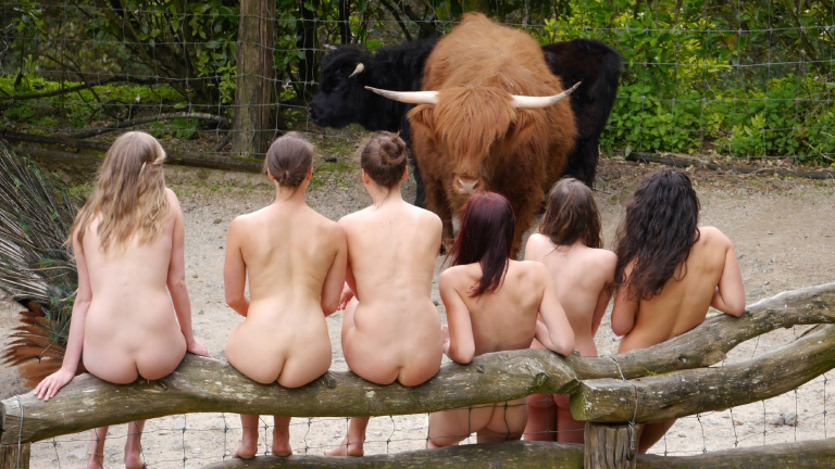 Bild 73848 von Schambereich in Kategorie Public nude