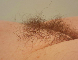 Bild 690172 von thomlinde in Kategorie Porträt