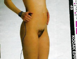 Bild 689853 von patrim30 in Kategorie Medien