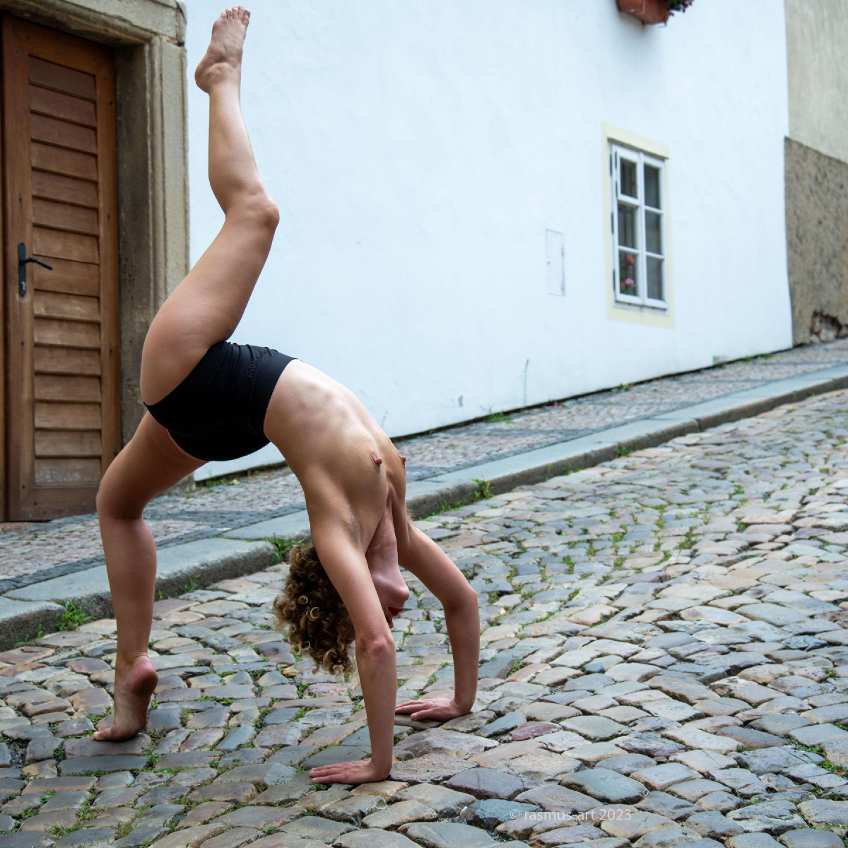 Bild 97864 von Rasart in Kategorie Public Nude