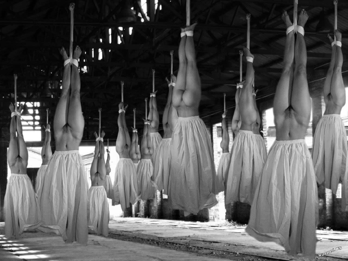 Bild 83371 von vivaldi in Kategorie BDSM