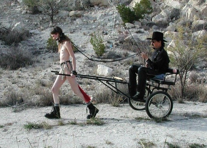 Bild 29983 von Schambereich in Kategorie BDSM