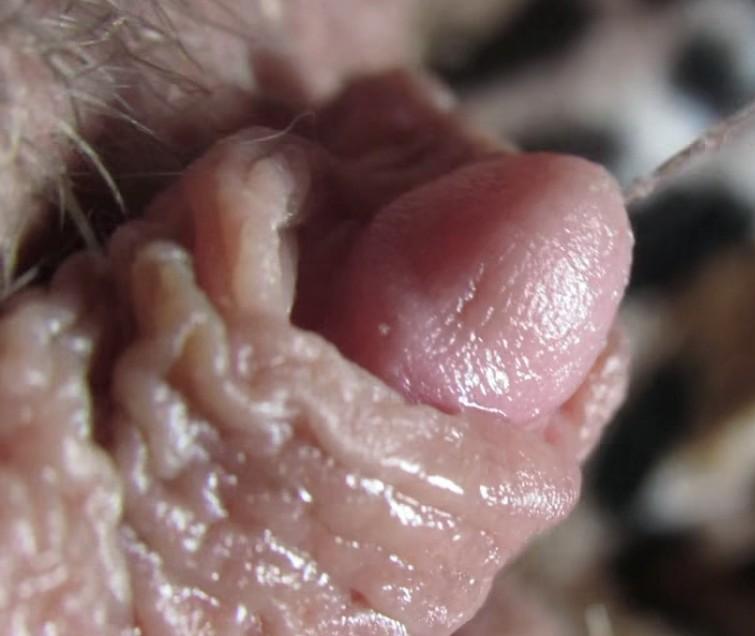 Bild 689157 von Andrea in Kategorie CMNF