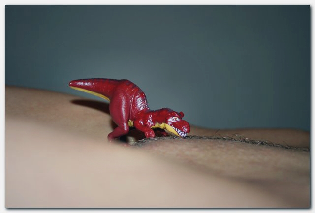 Bild 47073 von SimonTabs in Kategorie Kunst