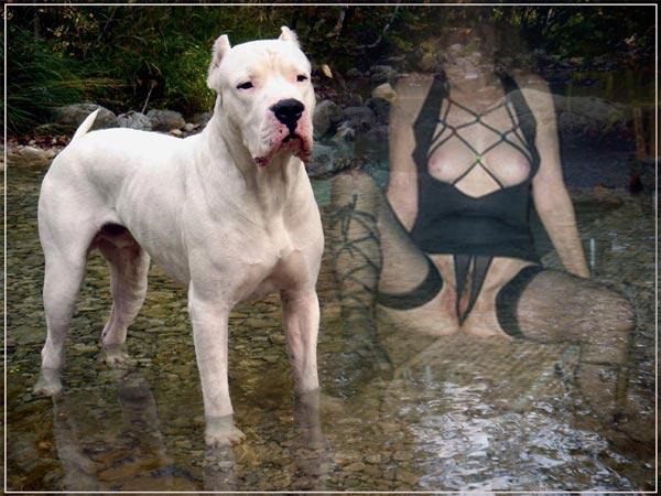 Bild 689656 von AGNEZOO in Kategorie Exhibitionismus