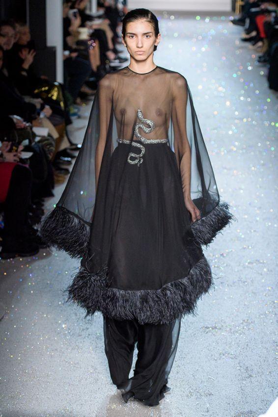 Bild 85826 von vivaldi in Kategorie Porträt