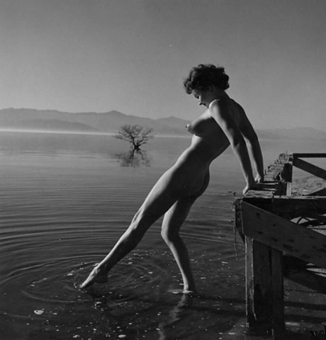 Bild 59032 von Schambereich in Kategorie Kunst