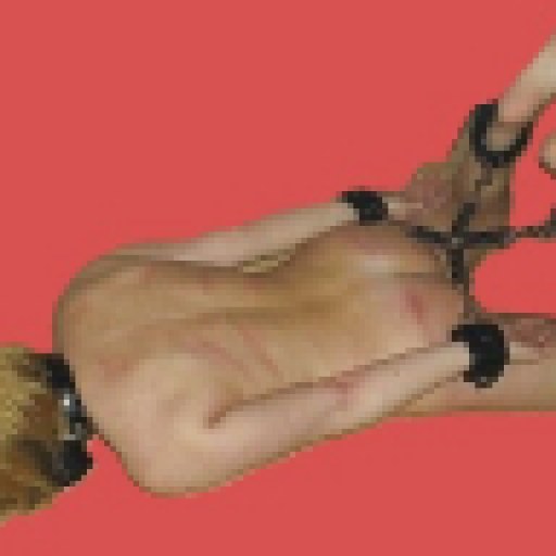 Mastertickler