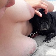 fuckthebitch