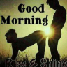 evel_one