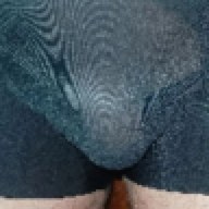 Zippy